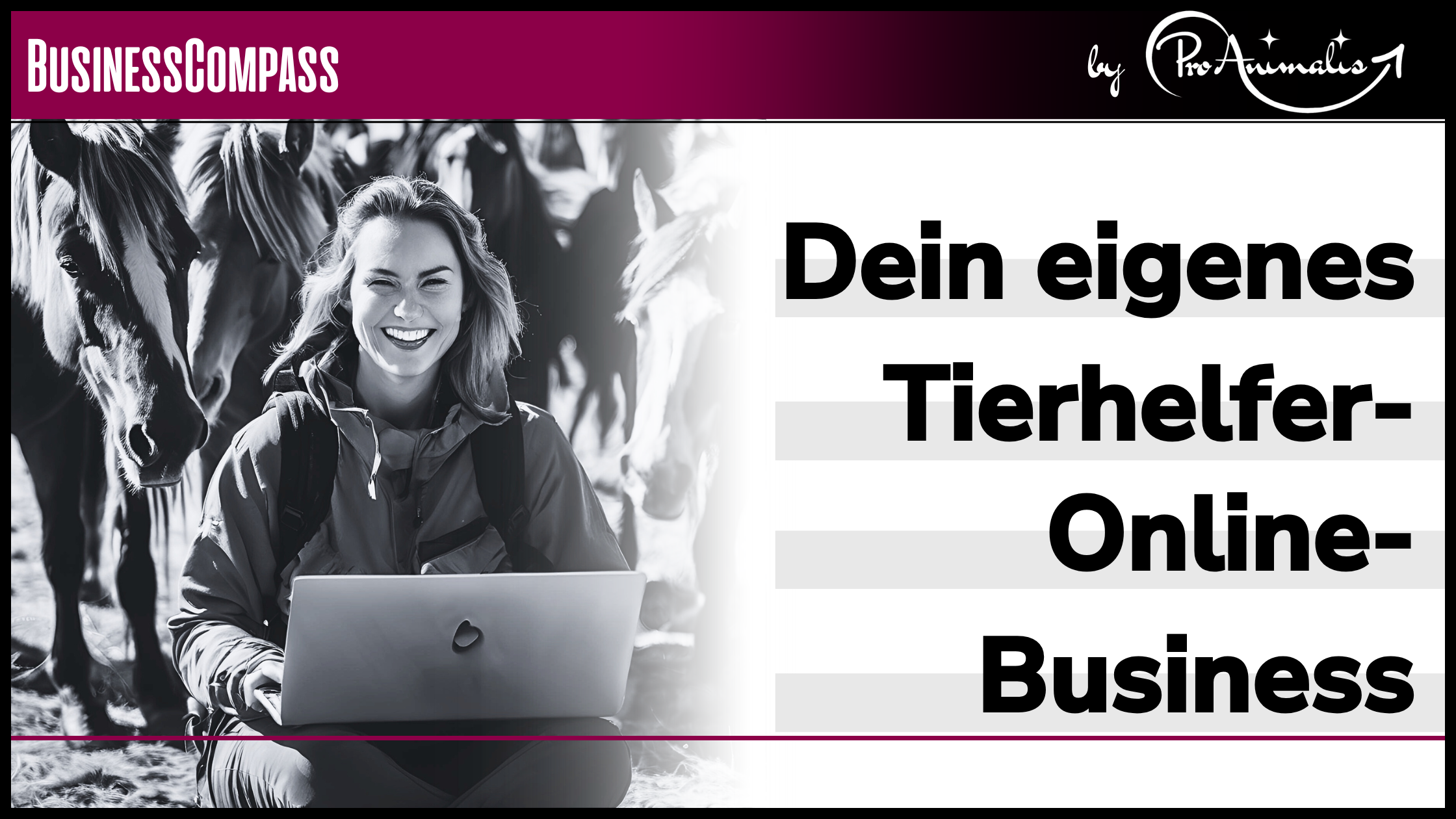 Du betrachtest gerade Dein eigenes Tierhelfer-Online-Business