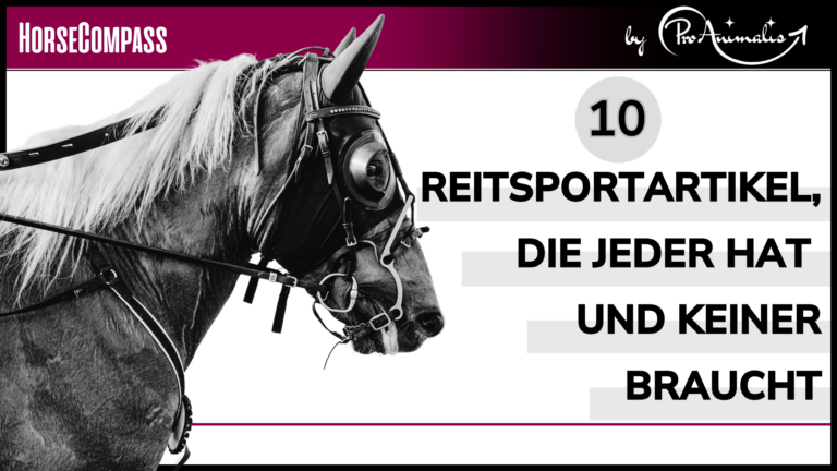 Mehr über den Artikel erfahren 10 Reitsportartikel, die jeder hat und keiner braucht