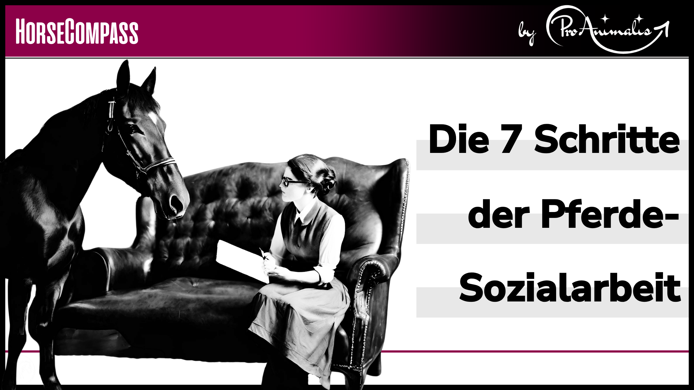 Mehr über den Artikel erfahren Die 7 Schritte der Pferde-Sozialarbeit