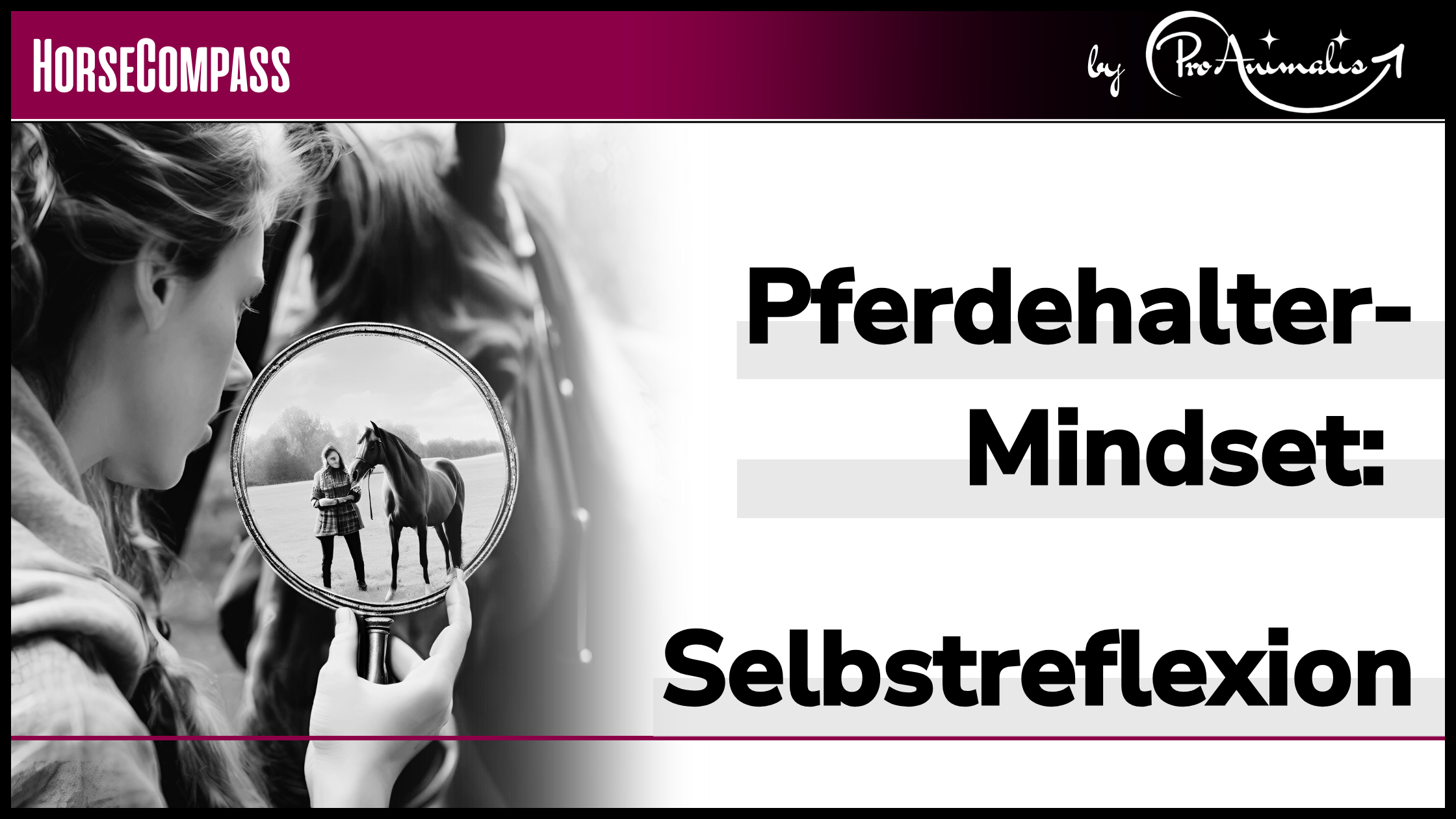 Mehr über den Artikel erfahren Pferdehalter-Mindset: Selbstreflexion