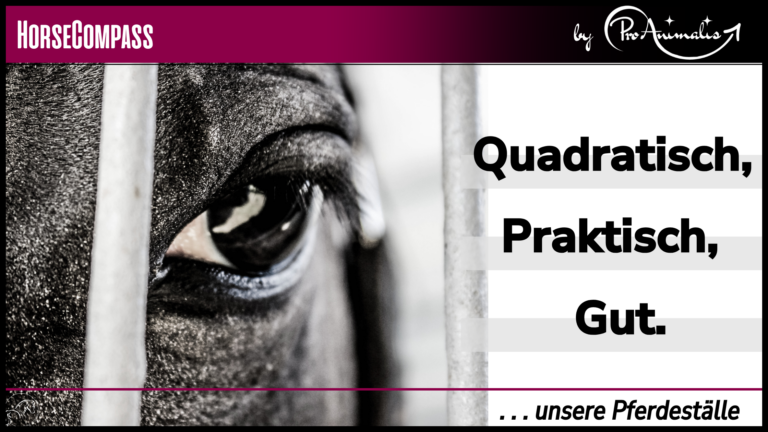 Mehr über den Artikel erfahren Quadratisch – Praktisch – Gut