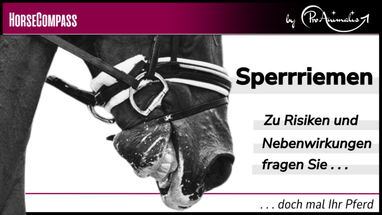 Mehr über den Artikel erfahren Sperrriemen