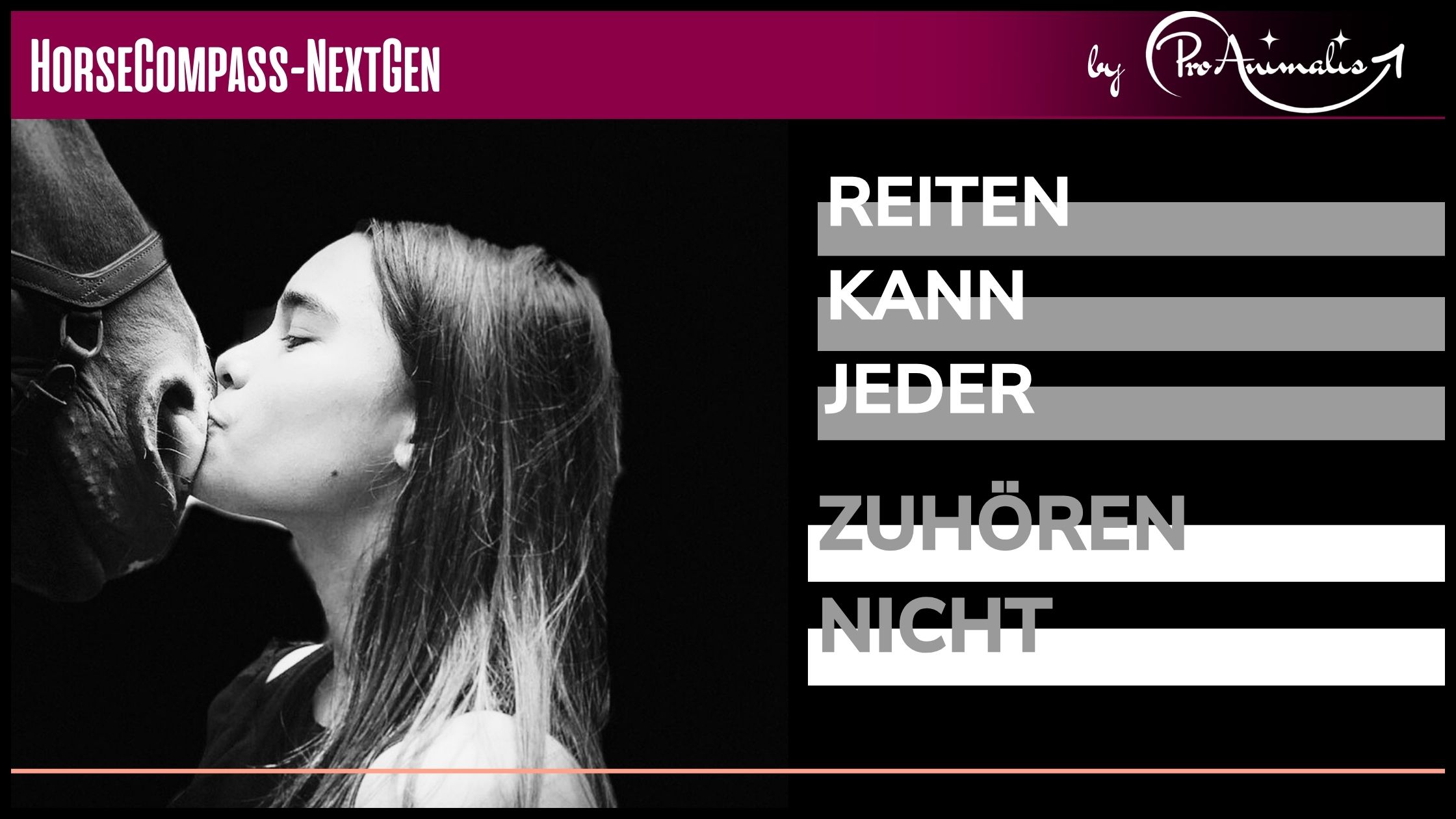 Du betrachtest gerade Reiten kann jeder. Zuhören nicht.